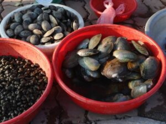 Catania, frutti di mare avariati venduti in Piazza Palestro: sequestrati