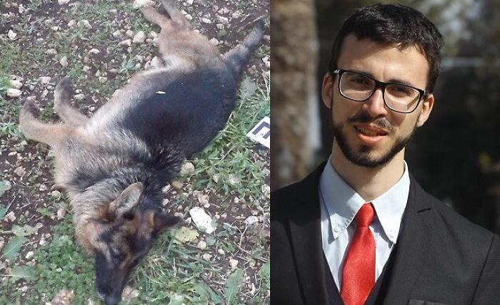 Priolo Gargallo, uccisi i cani del consigliere comunale Bosco