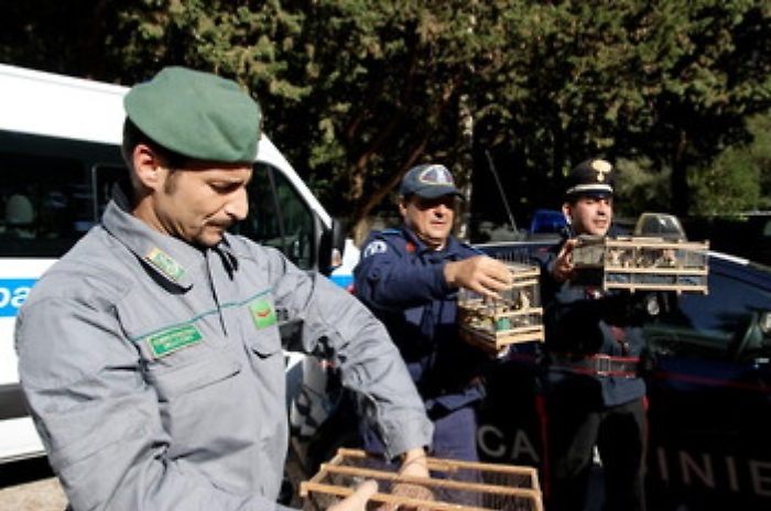 Palermo, Forestale libera 500 uccelli da allevamento clandestino