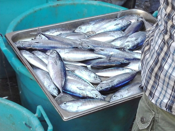 1505927416633_1618902133566-1