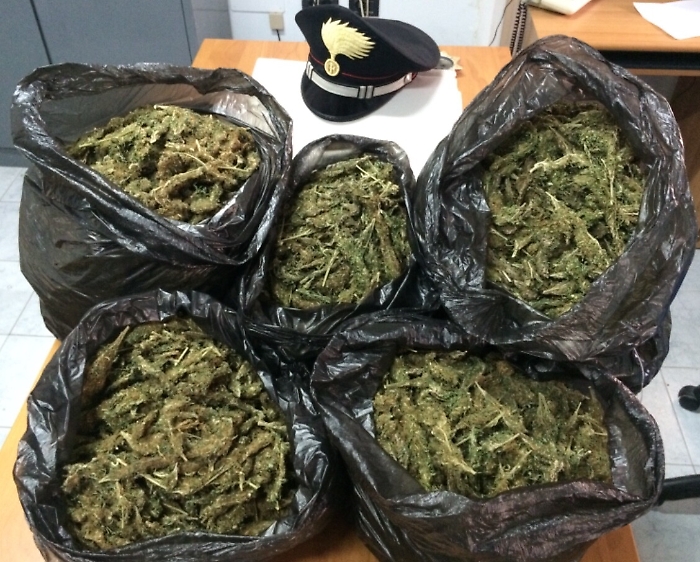 La marijuana a &ldquo;chilometro zero&rdquo;: coltivata a Licata e spacciata a Catania e Messina