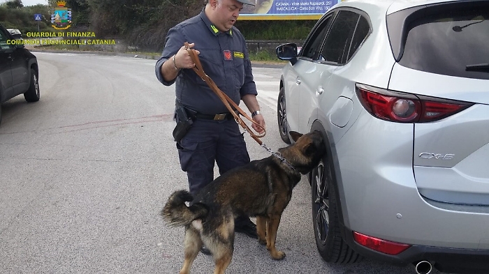 Catania, controlli antidroga Gdf anche in aeroporto: 190 dosi sequestrate