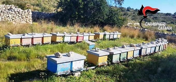 Rubava le arnie agli apicoltori di Zafferana e le portava ad Avola