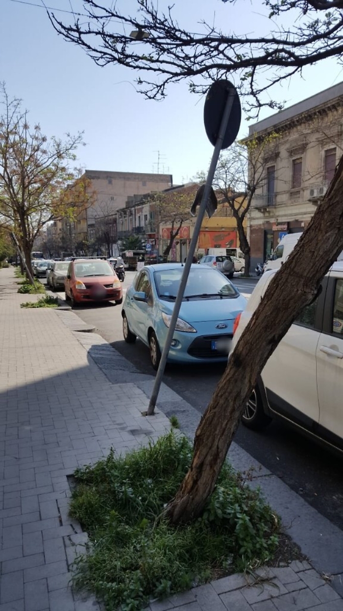 Eccesso di zelo a spese della quiete pubblica per un semaforo abbattuto.