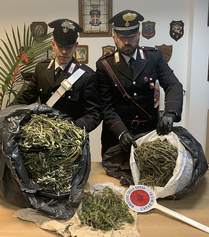 Allevatore di San Fratello arrestato per droga