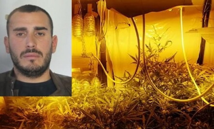 Belpasso, serra indoor in appartamento scoperta tramite You Pol