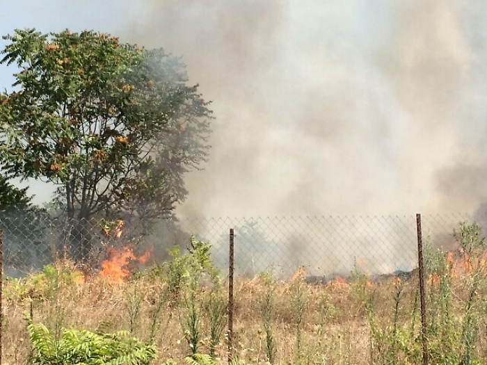 Forestale, incendi in lieve calo,-25%