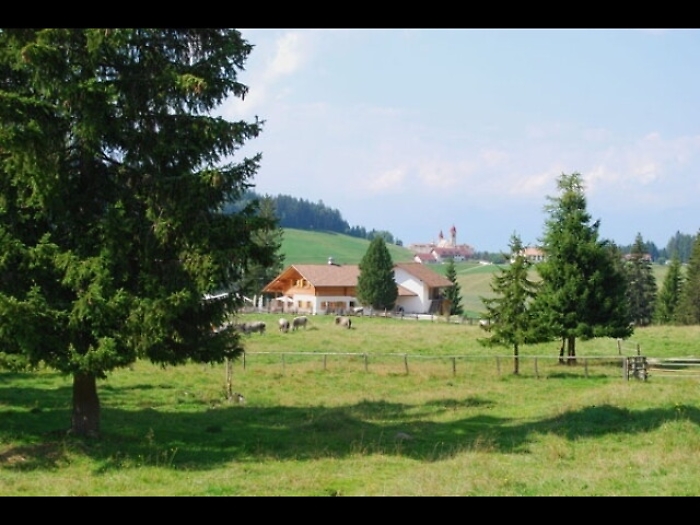 Turismo, estate record in Alto Adige