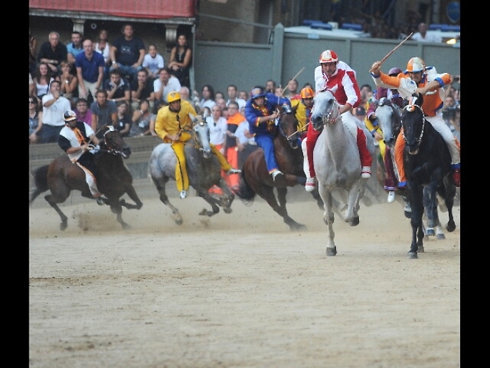 Palio Siena: Giraffa vince quarta prova