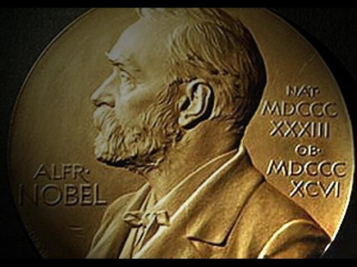 Nobel Chimica a Sauvage, Stoddart e Feringa
