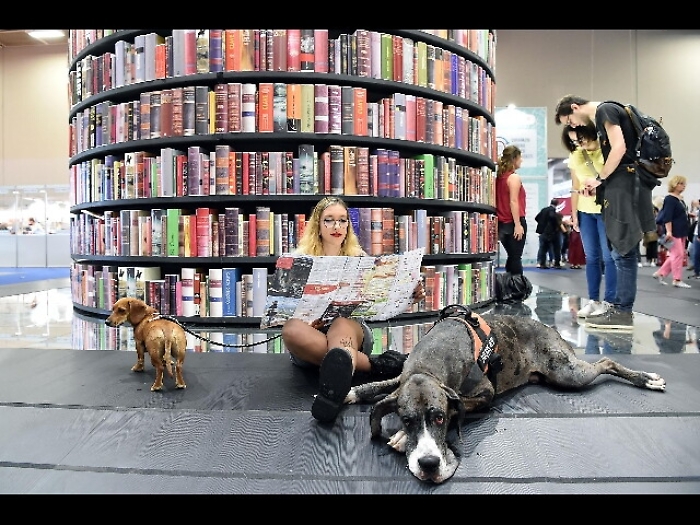 Salone Libro, 24/12 il marchio all'asta