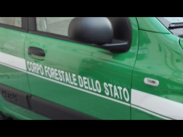 Rifiuti, truffa milionaria allo Stato