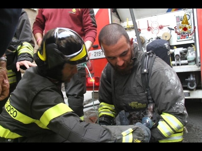 Auto contro bus,nove feriti in Liguria