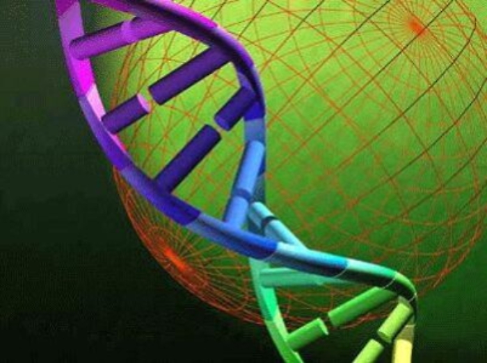 Ricerca: mappato primo Dna fenicio