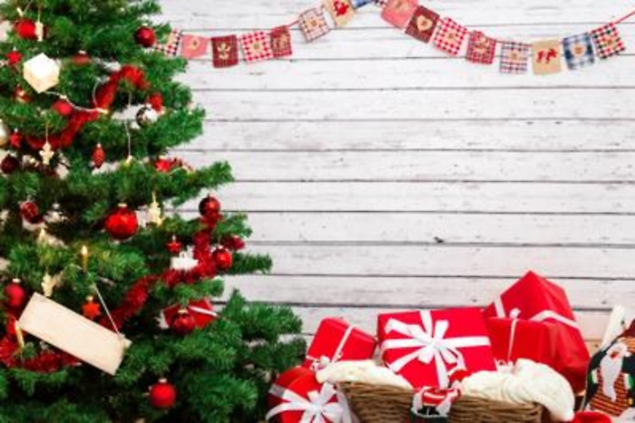 Dagli addobbi al cenone, i 10 consigli del Wwf per un Natale green