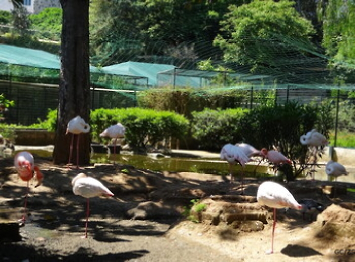 Al via sgombero degli animali dal Parco di Palazzo d'Orleans