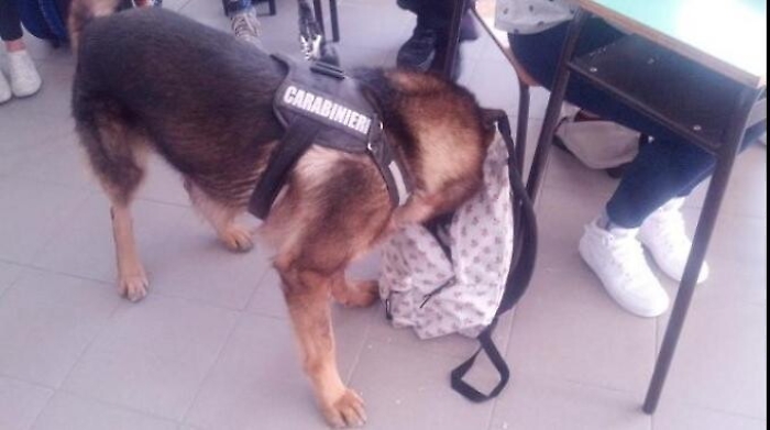 Gela, cani antidroga a scuola e due studenti consengnano dosi