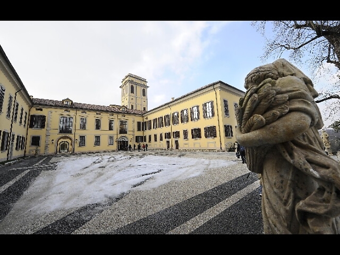 Cade da albero in villa Gernetto, morto