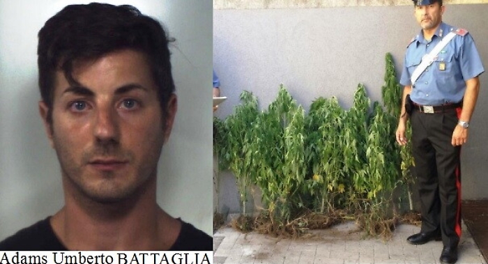 Fidanzatini curavano piantagione di erba nel Catanese: arrestati