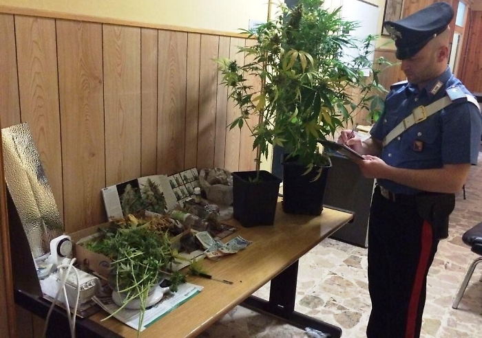Catania, studiavano e coltivavano marijuana