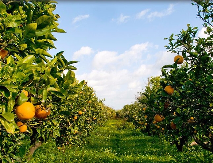 1478110018365_1478110035_1619015680324-1