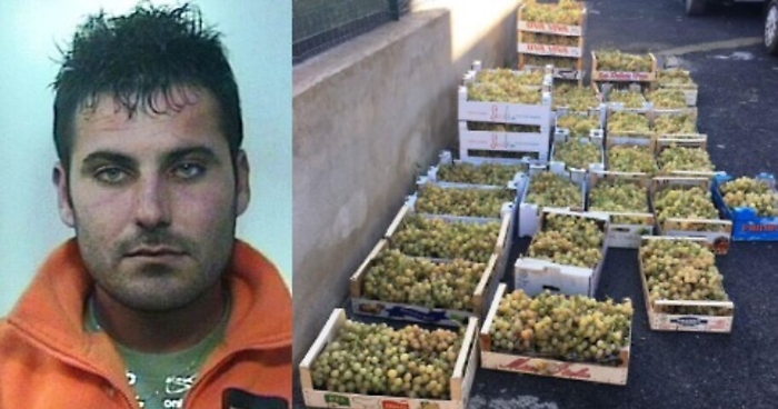 Ladri di uva nel calatino: arrestati