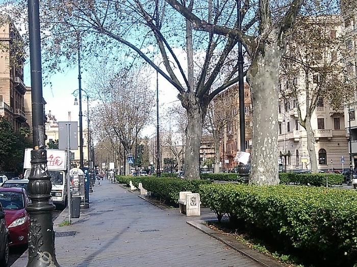 Palermo, avvocatessa ruba indumenti in negozio in via Libert&agrave;