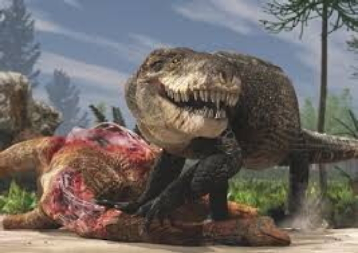 Razana, il coccodrillo giurassico con denti da T.rex rivive in 3D