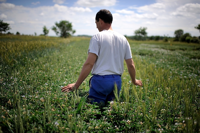 Compro un terreno e... RESTO AL SUD