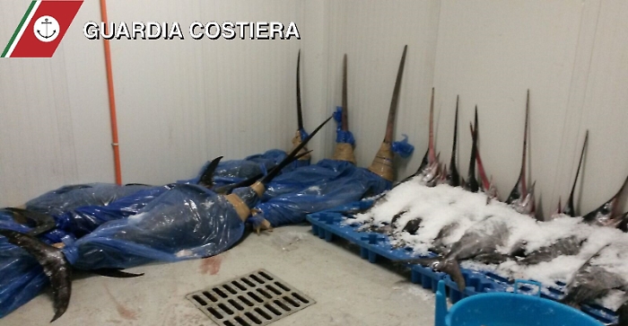 Pesce spada senza tracciabilit&agrave;: 2 tn sequestrate al Maas di Catania