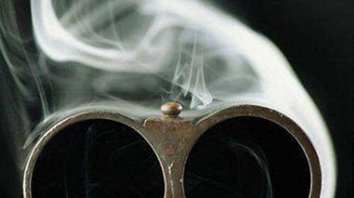 Lupara bianca, cos&igrave; &egrave; morto Domenico Pelleriti