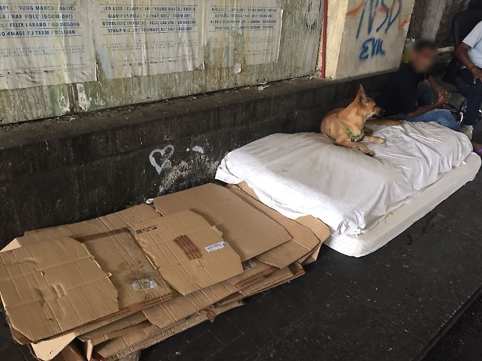 Catania, trovato un cadavere sotto il ponte della villa Bellini: forse &egrave; un clochard