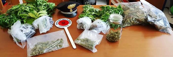 Cuoco con l'"hobby" della coltivazione di marjuana: arrestato a Catania