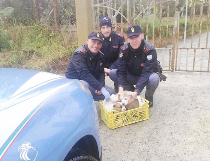 Gela, poliziotti salvano cucciolo rischiava di annegare