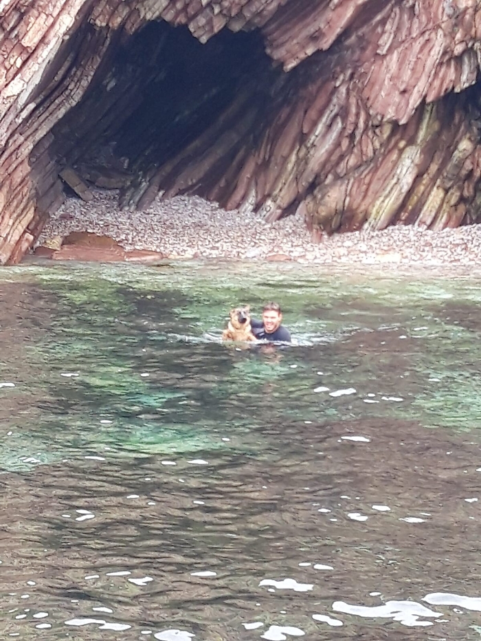 Terrasini: salvato cucciolo di cane dalle acque gelide del golfo dagli uomini della Capitaneria di Porto