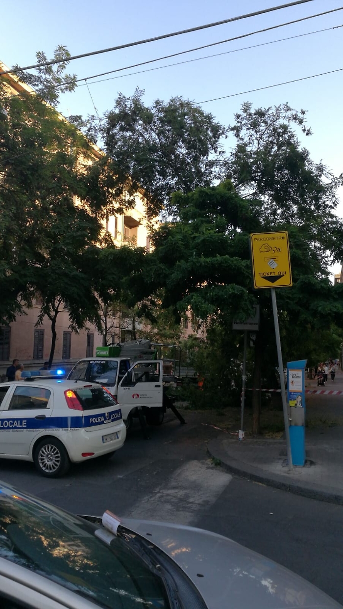 Catania: Via lavaggi albero caduto durante la festa di Sant'Antonio