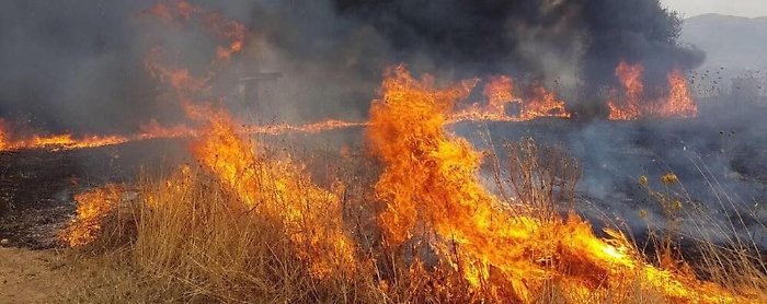 1564767851757_1619027015254-1