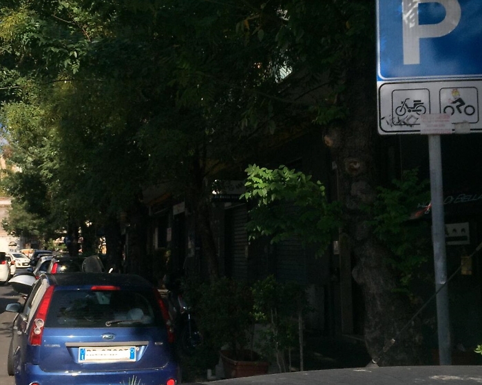 Catania, Via Plebiscito: "Multate questi automobilisti"