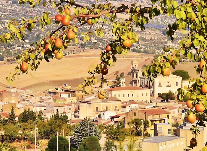Comitini, al via le borse di lavoro