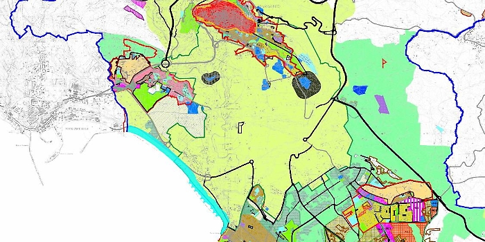 Firetto pensa a un piano regolatore del verde pubblico