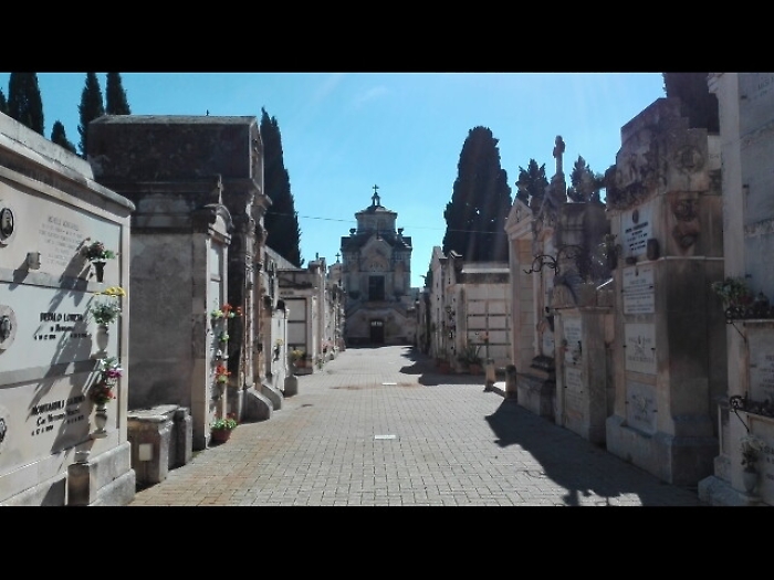 Ossa lasciate vicino cimitero, indagini