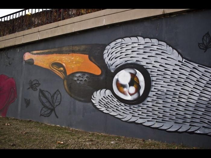 Street art, a Firenze mappa graffiti