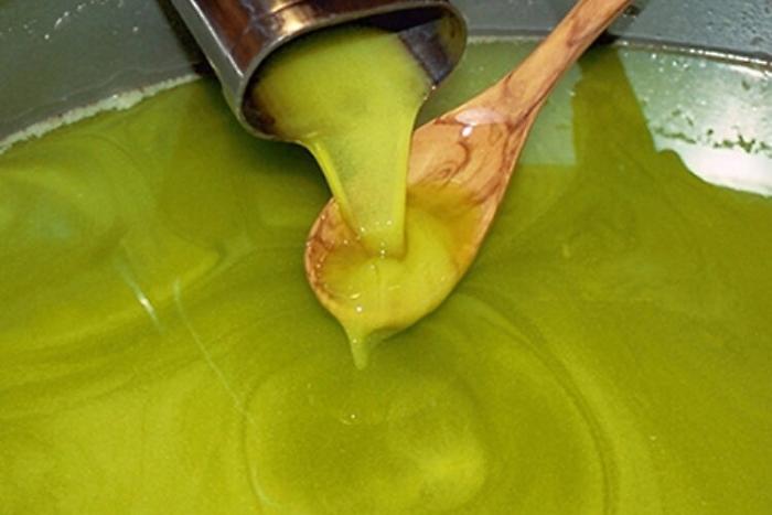 «L'olio tunisino non è dei tunisini. Non si capisce L'Ue da che parte sta»