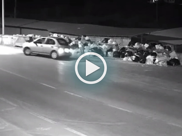 Abbandonano cane in strada Individuati grazie a riprese