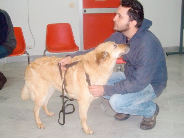 La relazione con l'animale che aiuta a curare il corpo ma anche l'anima