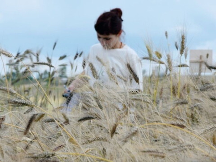 Sicilia, a capo tavola i grani antichi dell'Isola