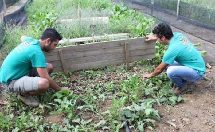 Il business delle lumache in Italia parla siciliano e mangia bio