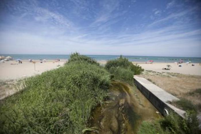 Nel Lazio foci e canali 'malati cronici', inquinato il 50% dei punti monitorati da Goletta Verde