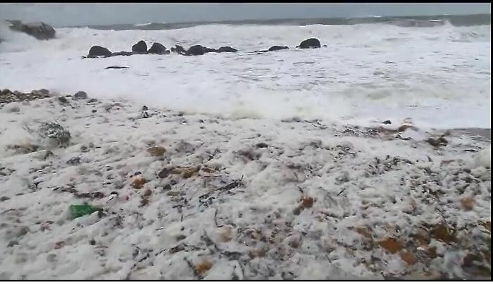La risacca e la schiuma bianca Mareamico: &laquo;E' l'inquinamento&raquo;