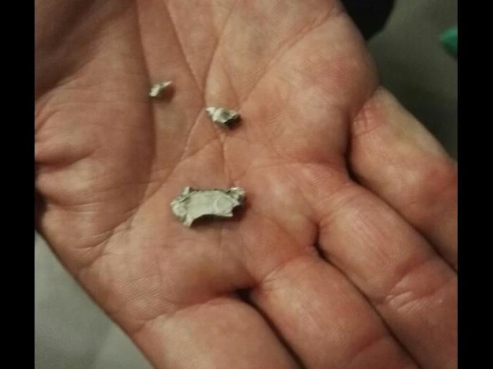 Leopolda: No Renzi, 12 gli agenti feriti